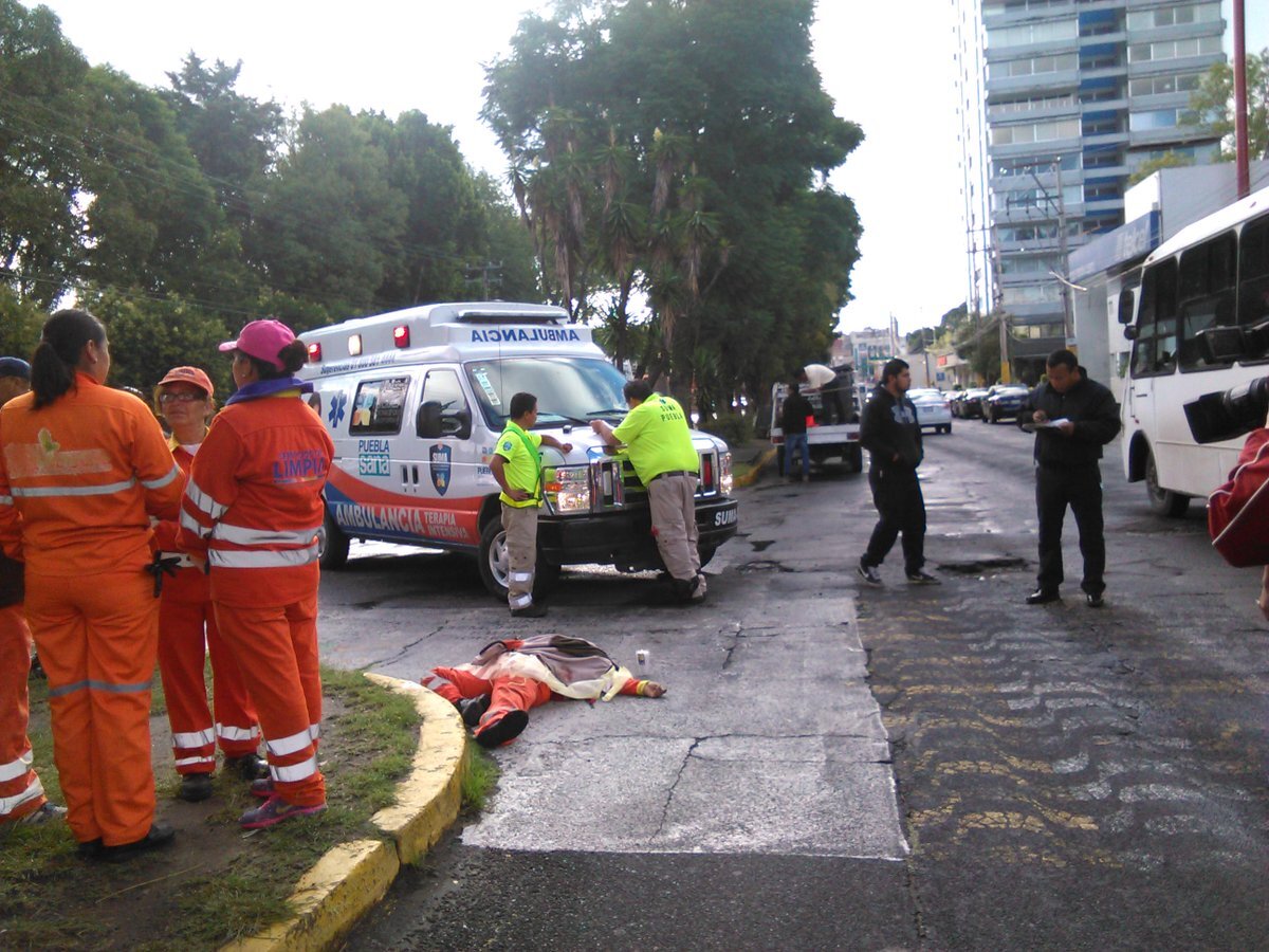 Por: Cortesía “Naranjita” atropellada por borracho será sometida a una cirugía