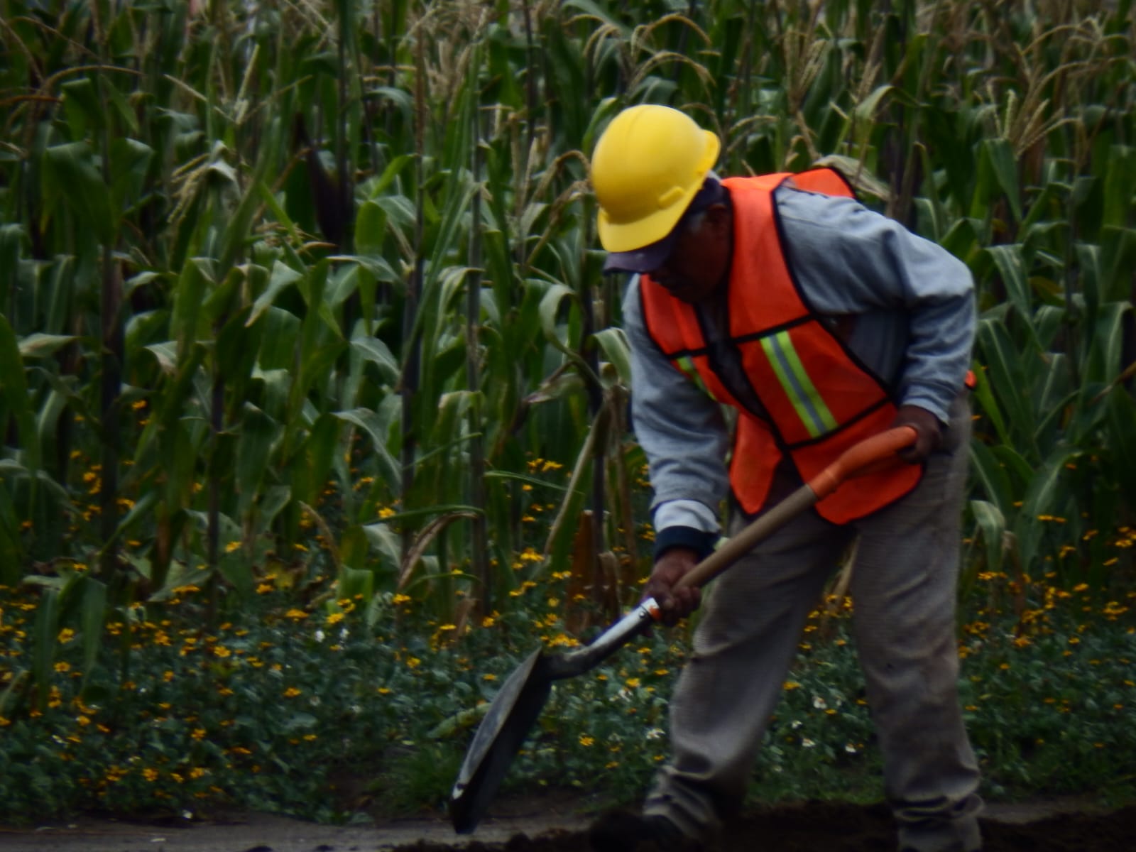 Tlaxcala, uno de los estados con peor precariedad laboral: ICCOE