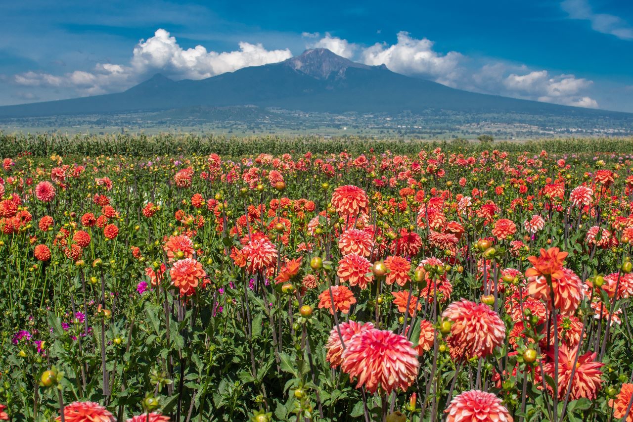 Por: Cortesía El campo y el desarrollo rural son prioridad para el gobierno municipal de Huamantla