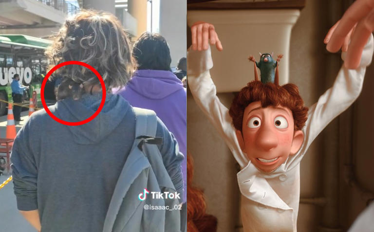 Por: Cortesía "¿Chefsito eres tu?": Captan a joven caminando con una rata en su cuello