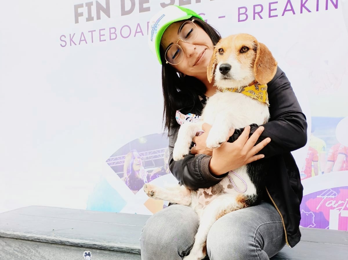 Entra en vigor legislación local para protección de animales domésticos