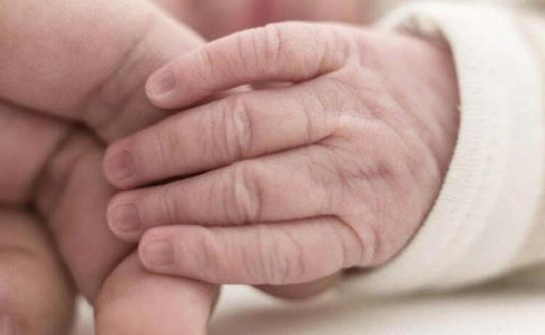 Por: Cortesía Muere bebé dentro de un auto; sus padres la dejaron ahí mientras ellos estaban en un motel