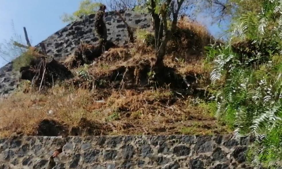 Trabajos de rehabilitación de escalinata “El Pocito” no pone en riesgo árboles de la zona