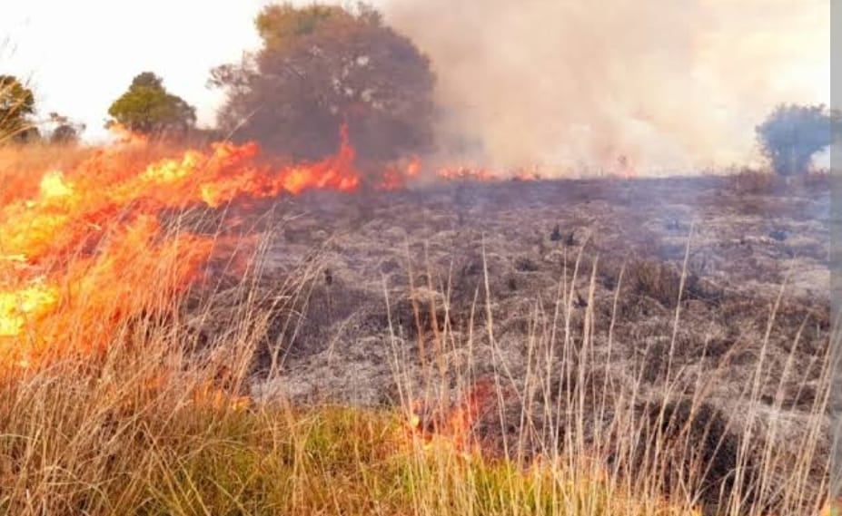 De 5 a 12 incendios en San Andrés Cholula: Carrillo López