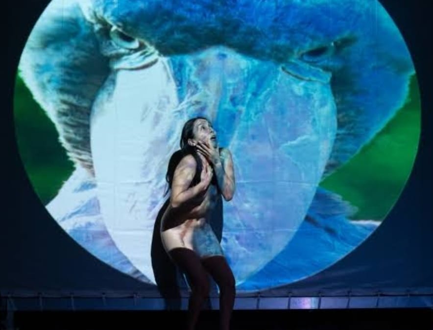 Arte herramienta para disminuir la violencia contra la mujer: Gutiérrez Vázquez