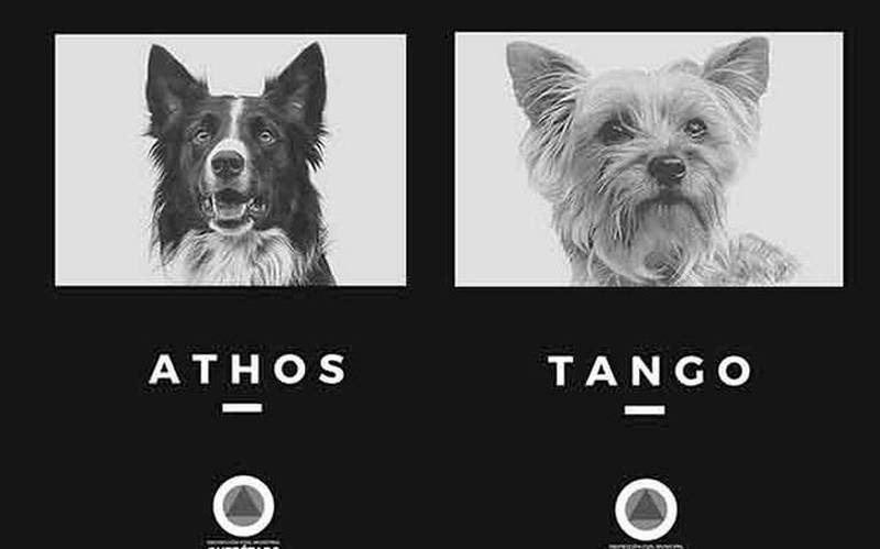 Por: Cortesía Muerte de Athos y Tango: ¿por qué el homicida sigue libre pese a la sentencia?