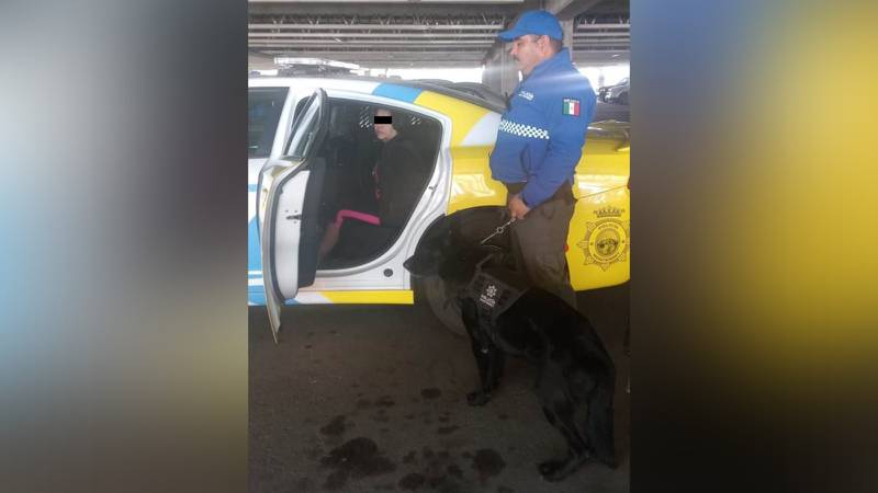 Por: Cortesía Migración ilegal en Monterrey: Detienen a mujer al intentar trasladar a 7 menores