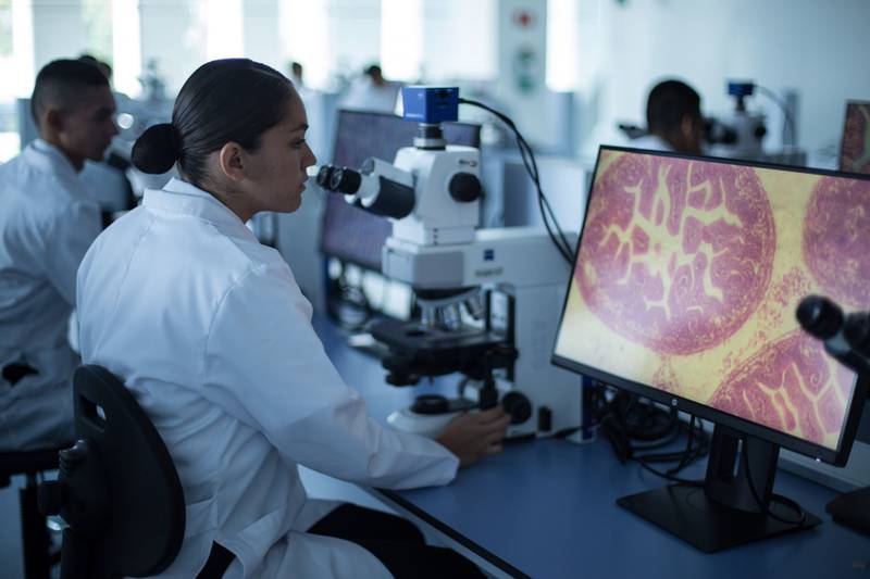 Por: Cortesía Convocatoria Marina 2023: Estas son las carreras y los requisitos para entrar