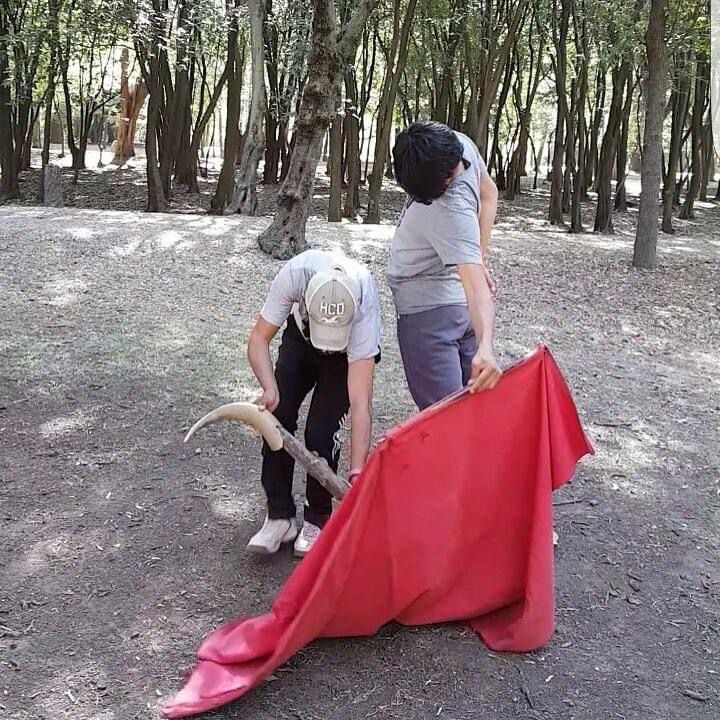 Realizará ITDT clase–práctica con “calita” en Tlaxcala