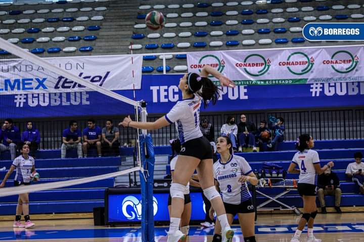 Por: Cortesía Borregos Puebla regresa a la actividad en voleibol y sueña con el Final Four