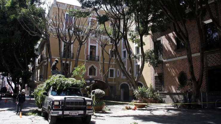 Piden a Ayuntamiento de Puebla asumir su responsabilidad en la poda de árboles en Plaza de la Democracia 