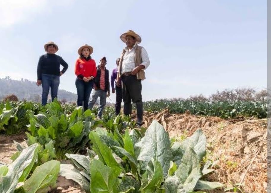 Apoya Bienestar SPCH al campo y vivienda cholulteca