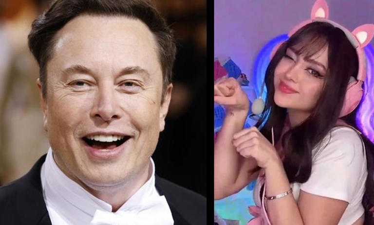Por: Cortesía Elon Musk comenta vídeo de Ari Gameplays y causa revuelo en redes sociales (Vídeo)
