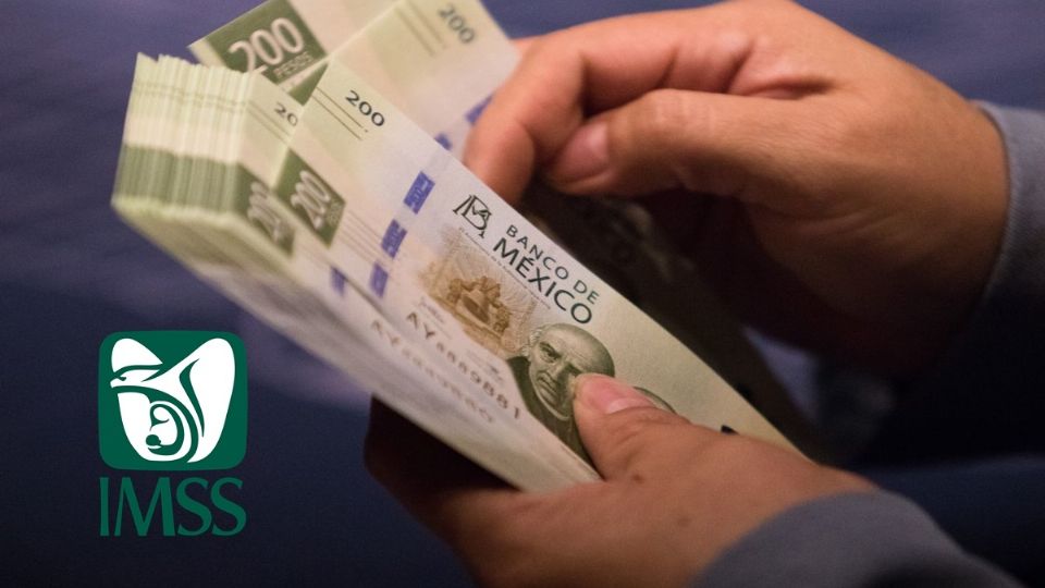 Por: Cortesía Pensión IMSS 2023: Todo lo que debes saber