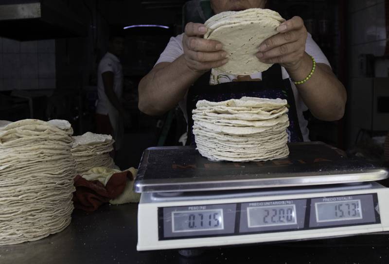 Por: Cortesía Precio de la tortilla en México: ¿Qué estados venden más caro y más barato el kilo?