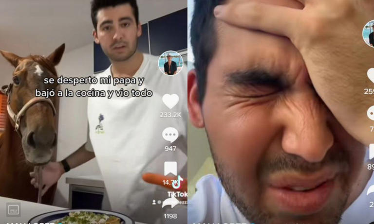 Por: Cortesía "Por malacopa": Joven ebrio roba caballo y lo lleva a su casa para grabar un Tik Tok (Vídeo)