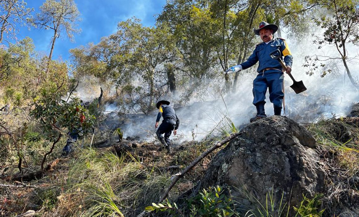 Incendio forestal en Tlaxco, controlado en un 85 por ciento: SMA