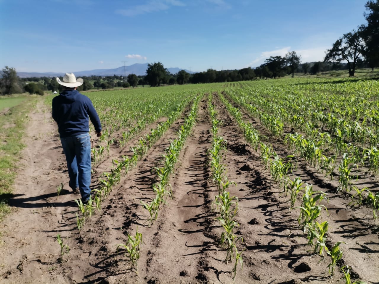 Por: Cortesía Busca SIA contar en 2023 con un seguro eficiente contra siniestros agroclimáticos