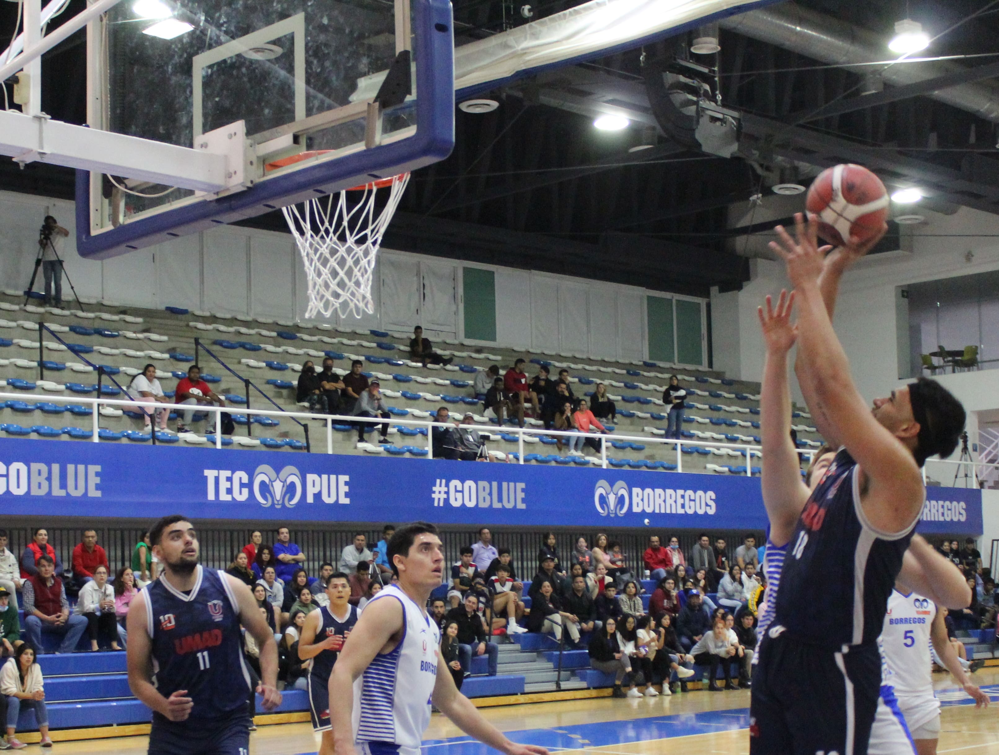 Por: Cortesía Tigres Blancos sueñan con el liderato