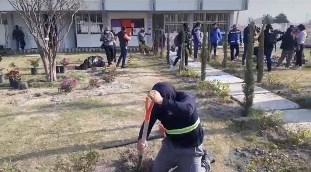 Por: Cortesía Lula Pineda Ayuntamiento sanandreseño reinicia jornadas de reforestación