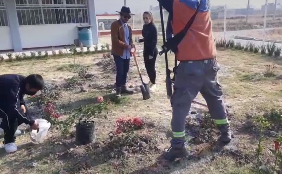 Ayuntamiento sanandreseño reinicia jornadas de reforestación 