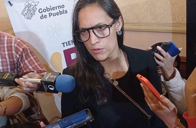 Por: Daniel Jiménez  Aún no se ha confirmado la llegada de Anel Nochebuena en la Secretaría de Cultura