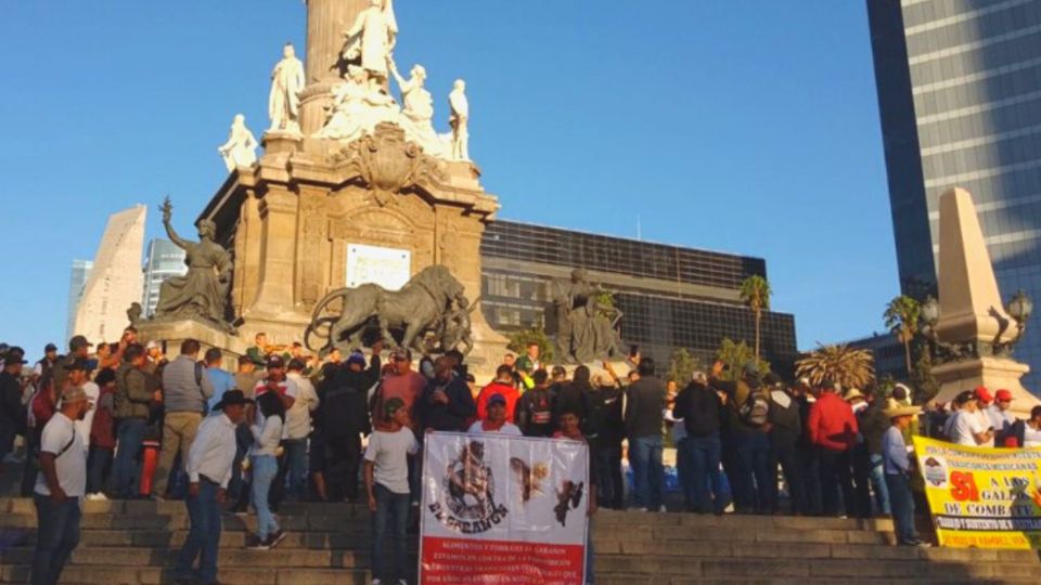 Por: Cortesía