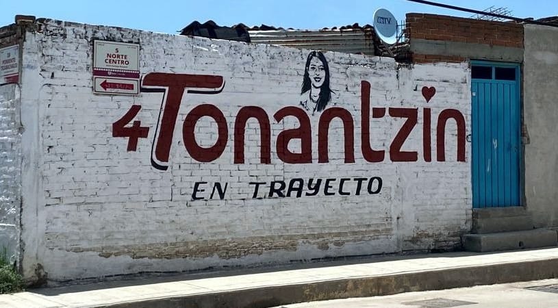 Por: Cortesía Lula Pineda La diputada Tonantzin Fernández pide despintar bardas publicitarias a su favor en SPCH