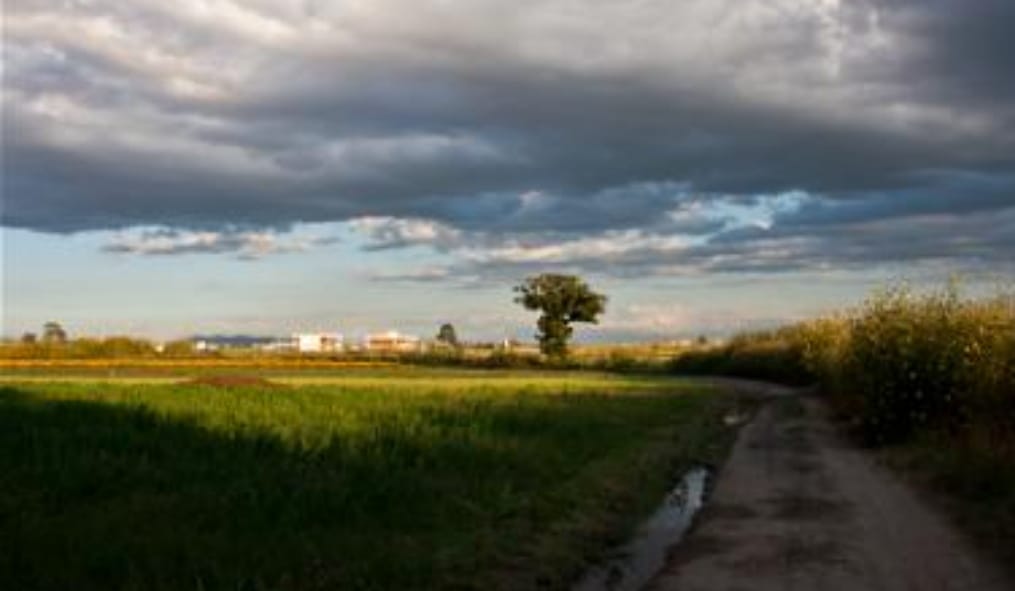 A detractores invito a no desgastarse en críticas, mejor hay que proponer: Tlatehui Percino