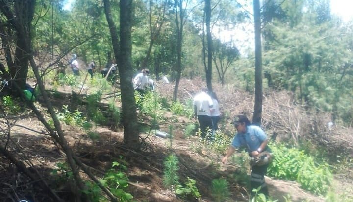 Calpenses siembran 5 mil árboles en el bosque Izta-Popo