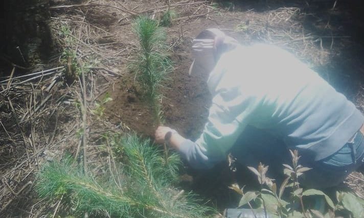 Por: Cortesía Lula Pineda Calpenses siembran 5 mil árboles en el bosque Izta-Popo