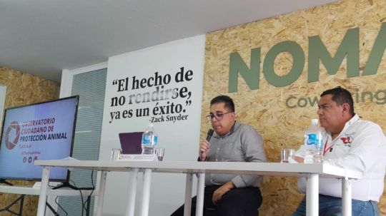Por: Archivo  Opacidad en 7 municipios: omiten presentar reglamento de protección animal