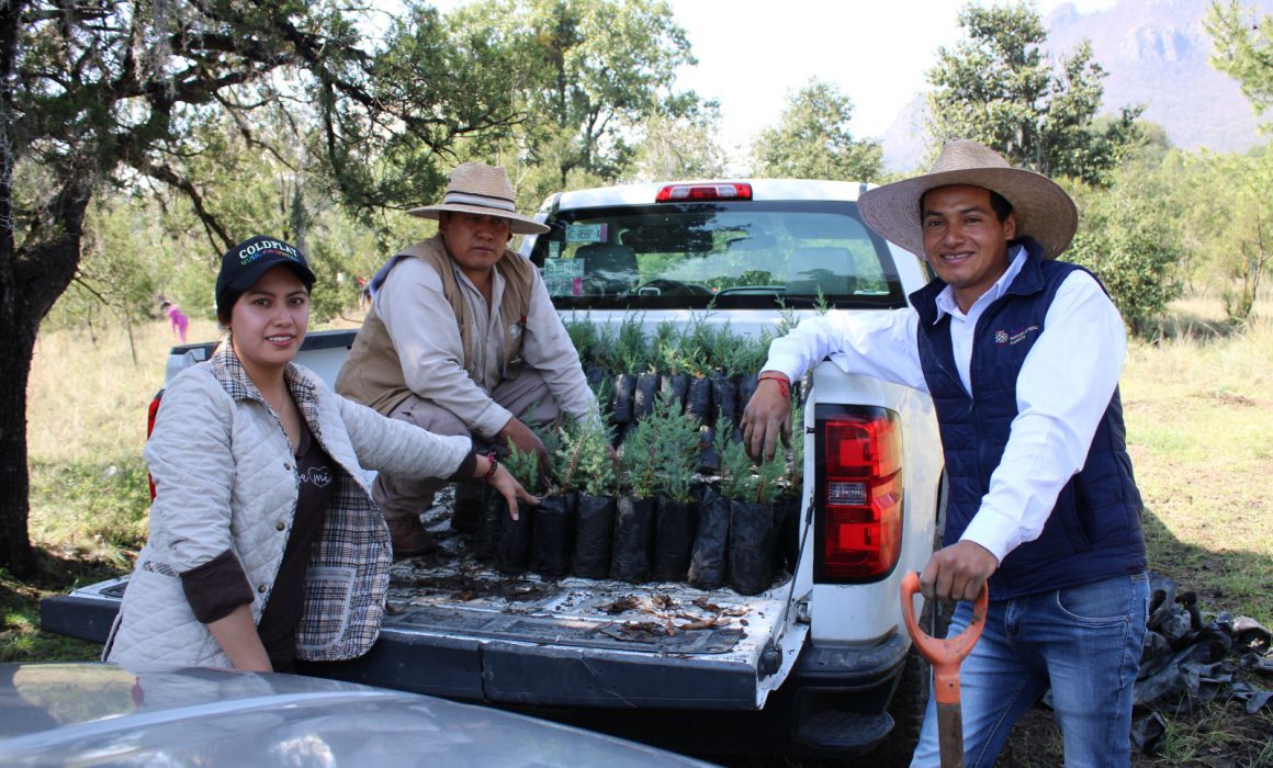 Planta SMA 2 mil árboles en Cuaxomulco