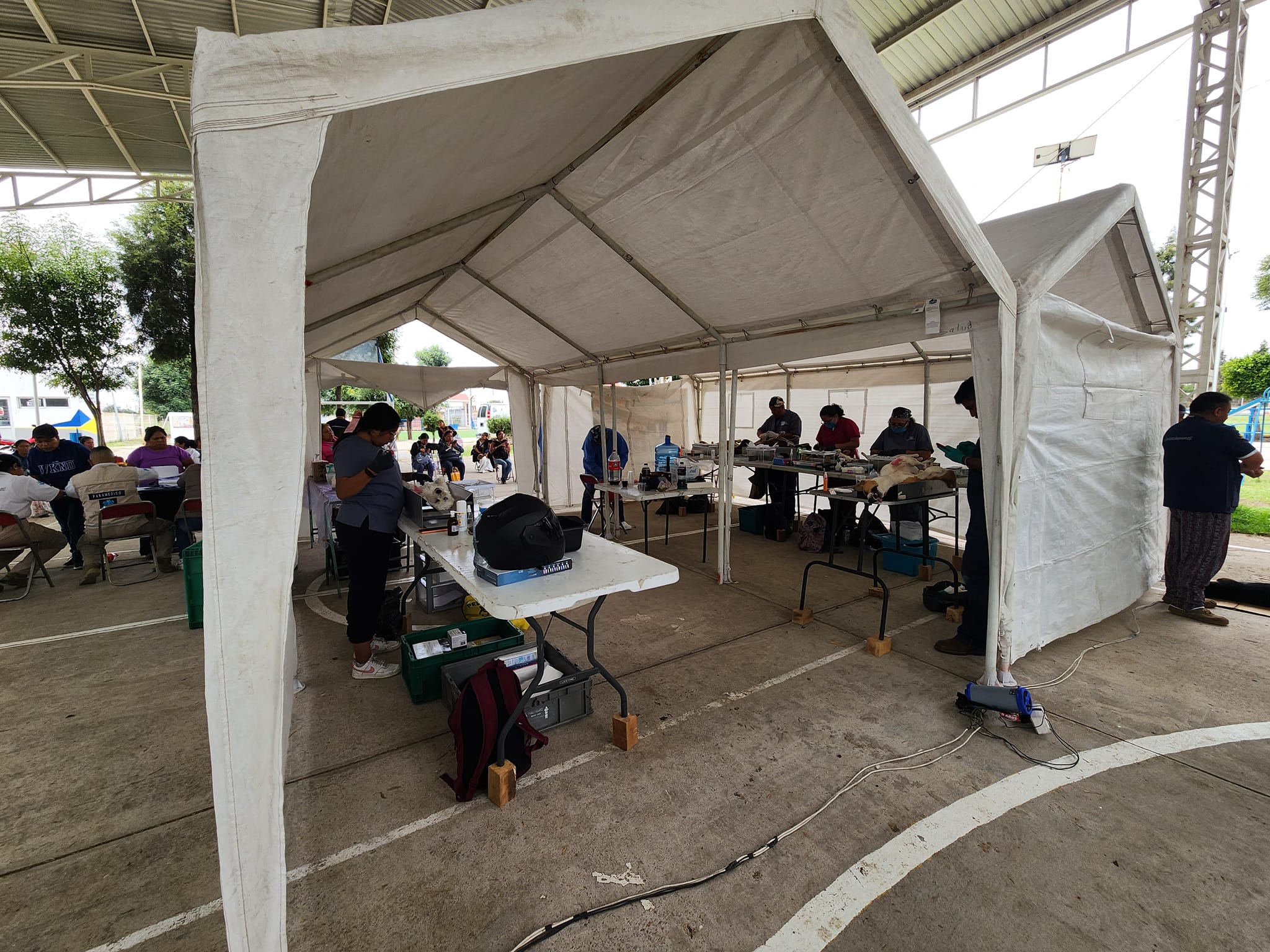 Por: Cortesía Lula Pineda Con éxito se realiza jornada de Esterilización Canina y Felina en Coronango