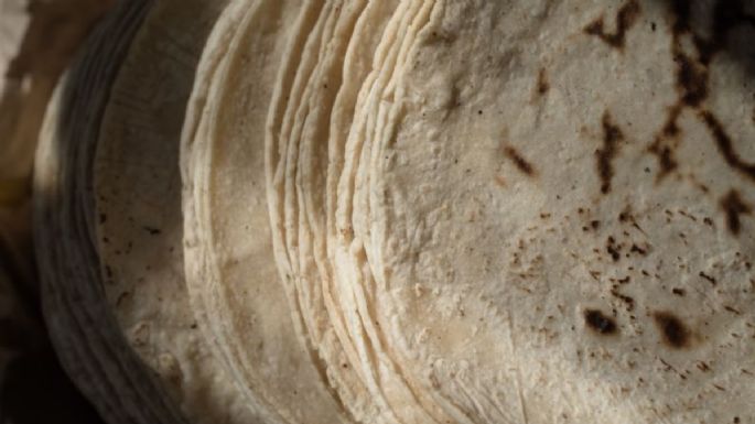 Por: Cortesía ¿La tortilla de maíz es más saludable que la de harina? Aquí te decimos la verdad