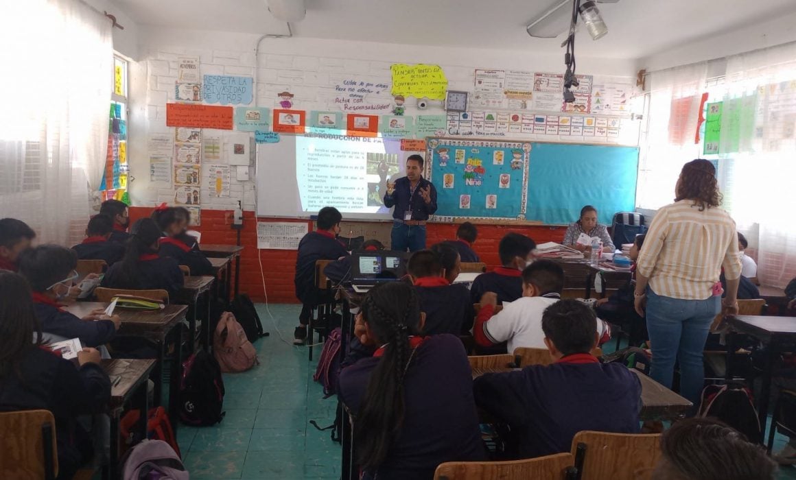 Por: Cortesía Promueve SIA la crianza y consumo de especies menores en el nivel básico