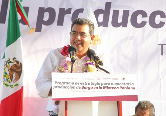 Por: Cortesía Anuncian inversión de 400 mdp para impulsar producción de agave mezcalero