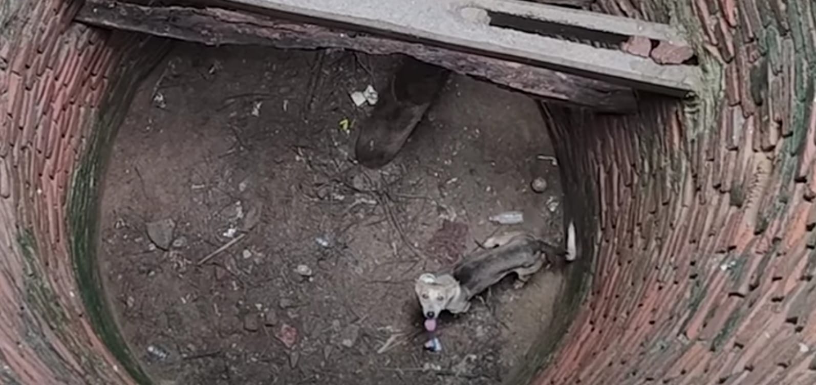 Incrementa caída de lomitos en pozos a ras de piso en San Andrés Cholula: Jorge Alberto Guerrero