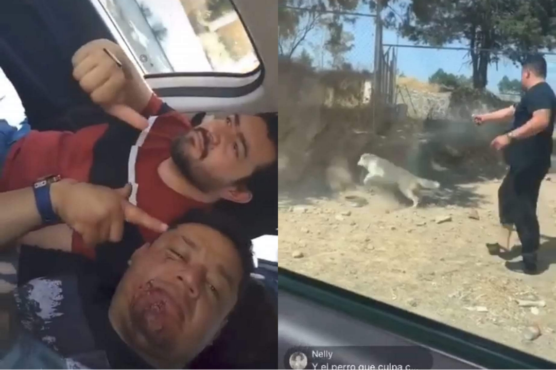 Por: Especial  Identifican a sujeto que disparó contra perrito en Tetlatlahuca, fue candidato por el PVEM