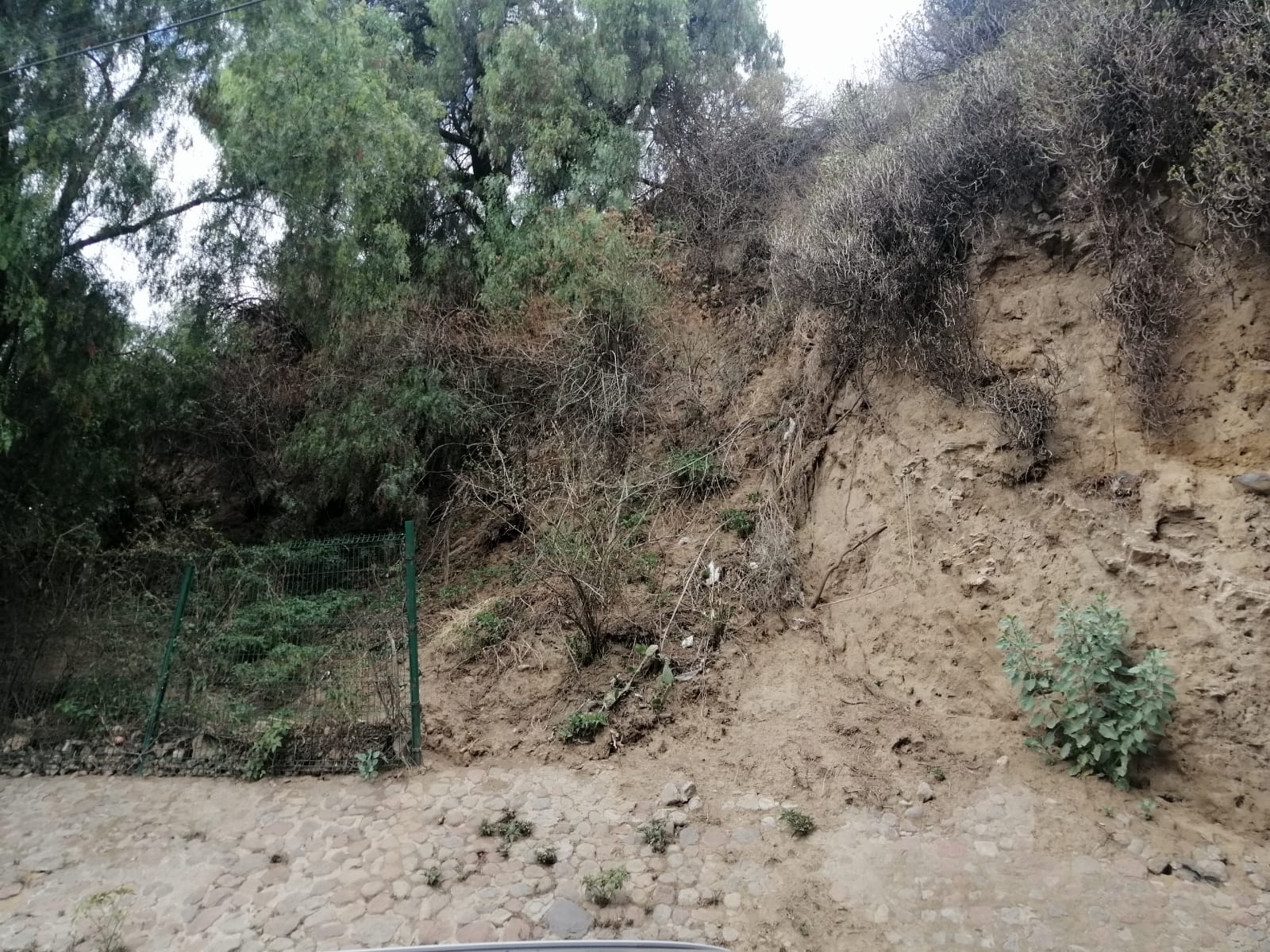 Por: Cortesía Lula Pineda Rehabilita INAH malla del montículo “Teopizcalco” en San Pedro Cholula