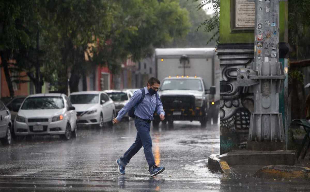 Por: Cortesía