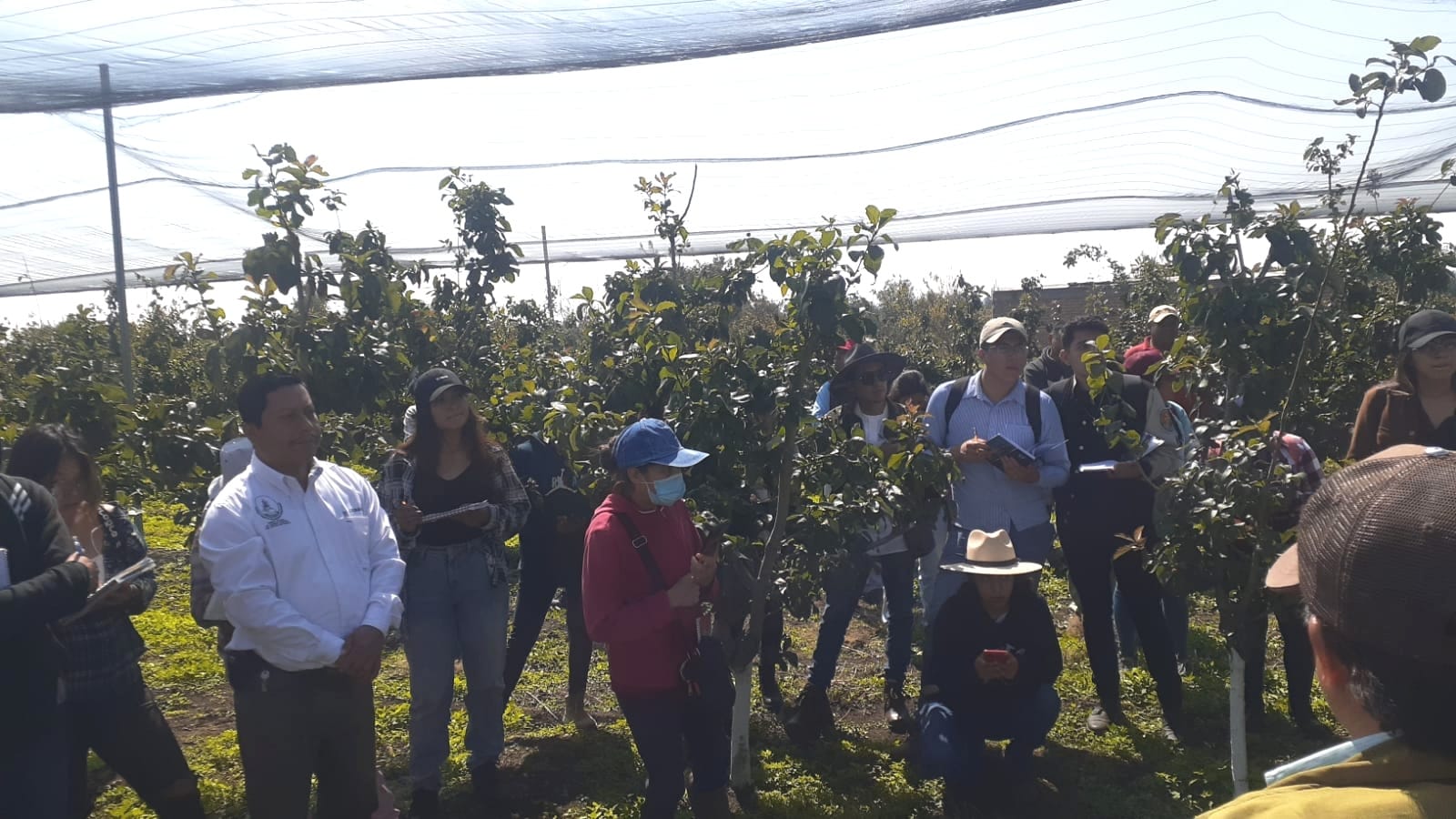 Fruticultores calpenses reciben a estudiantes de la Universidad Autónoma de Chapingo