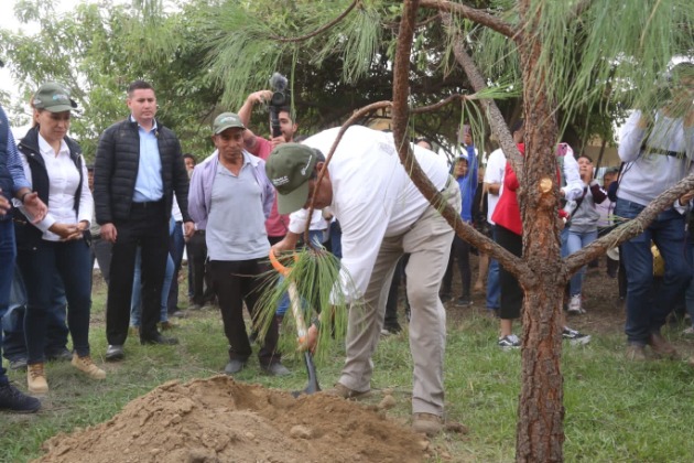 Inicia en Puebla la siembra de nueve millones de árboles 