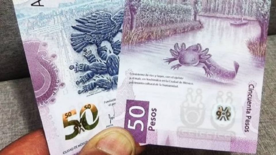 Por: Cortesía