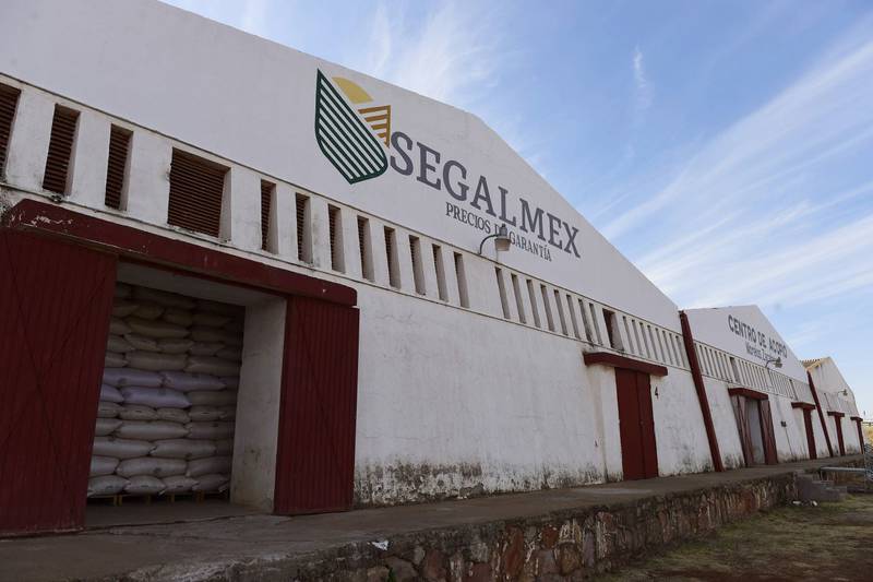 Por: Cortesía Caso Segalmex: Juez ordena aprehensión de 22 personas vinculadas desfalco millonario
