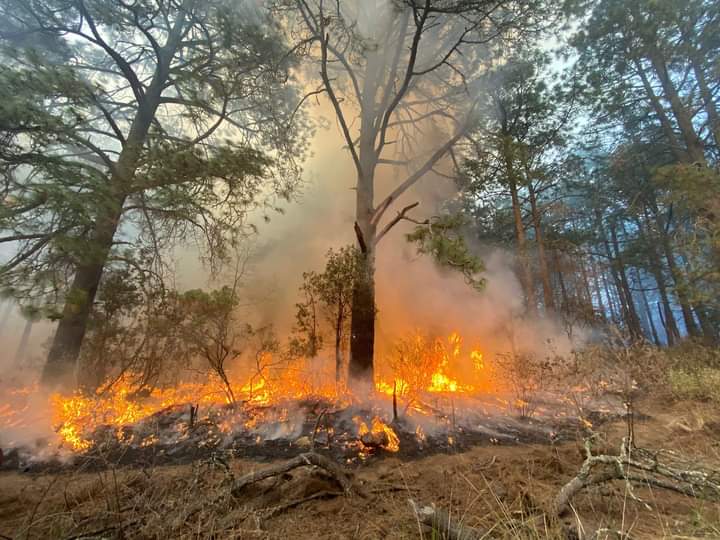 Tlaxcala en el top 10 por incendios forestales