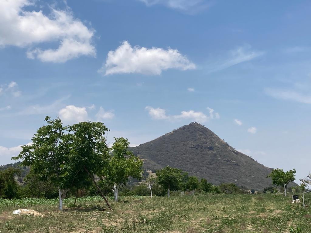 A tres meses de apertura la primera “Escuela del Nogal” cuenta ya con 50 alumnos