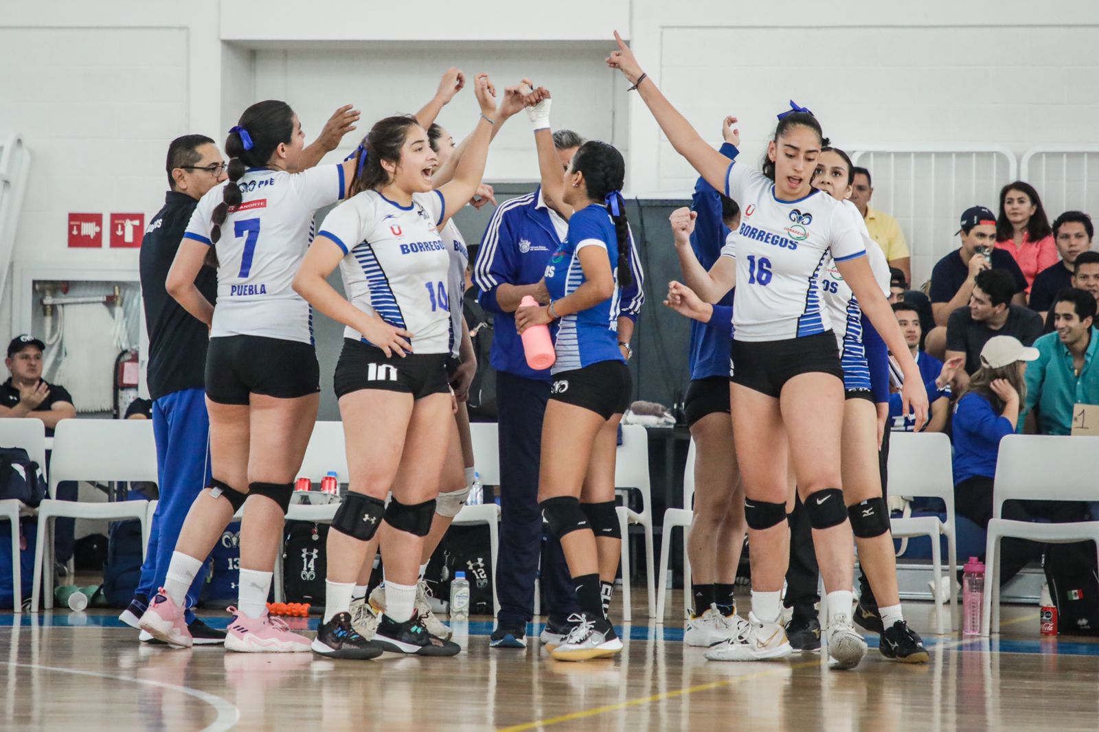 Por: Cortesía Borregos Puebla ya piensa en las finales