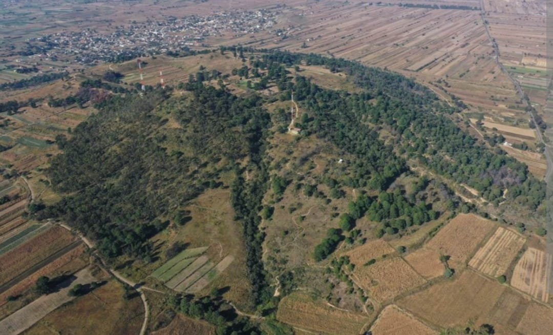 San Pedro Cholula pionero en el proyecto de franja polinizadora agrosustentable