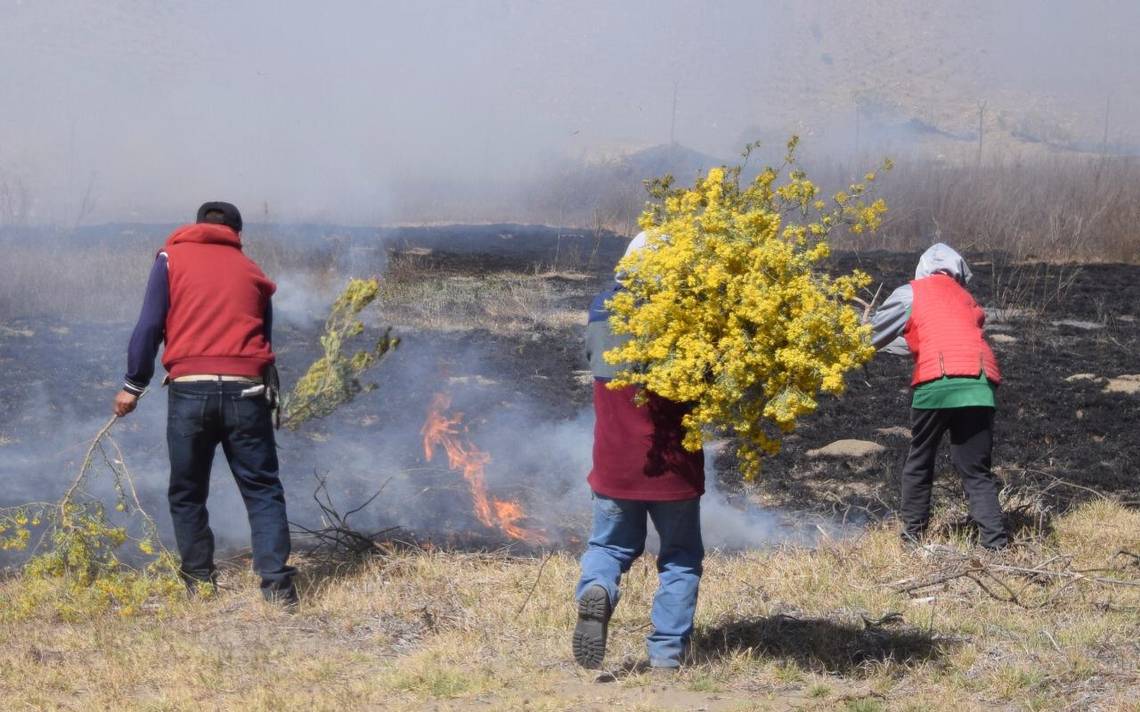 Por: Cortesía Eduardo Rivera recomienda cuidar el medio ambiente para evitar incendios